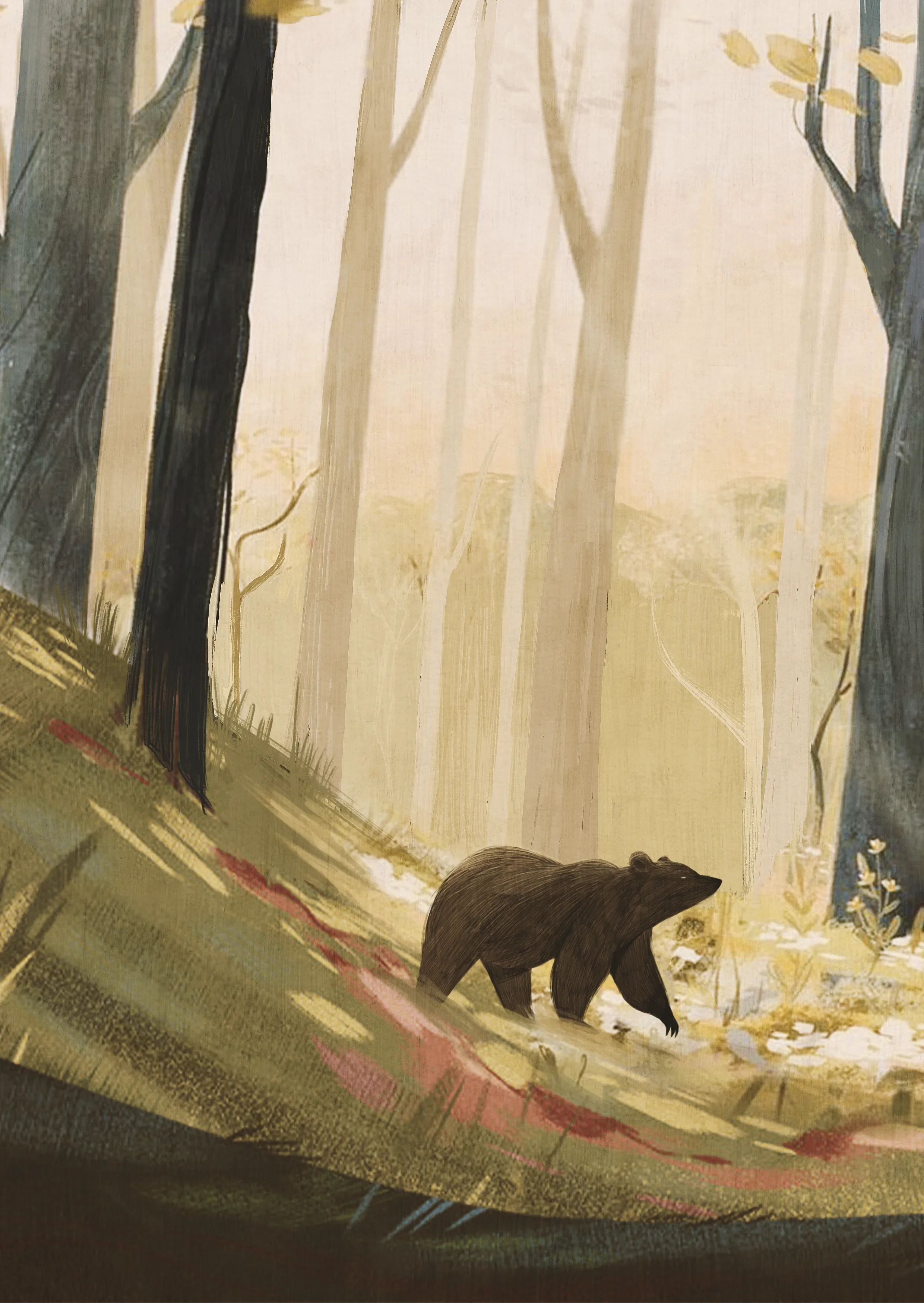 Bear